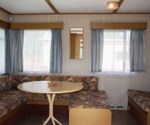 doki holenderskie kemping bartek (24)